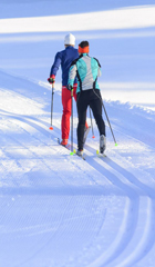 Cross-country skiing Cross-country skiing